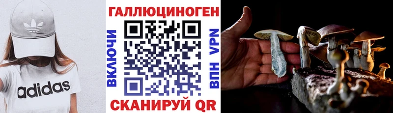 omg онион  где продают   Кущёвская  Галлюциногенные грибы Magic Shrooms 